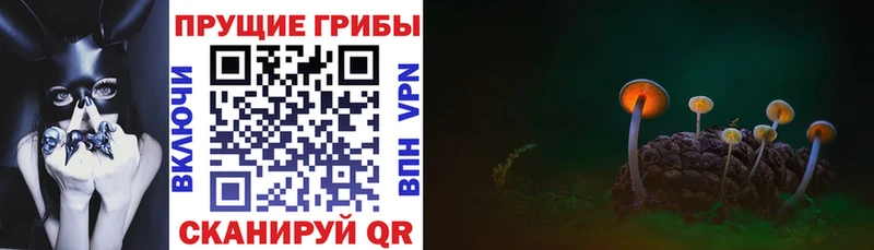 Галлюциногенные грибы Magic Shrooms  Ужур 